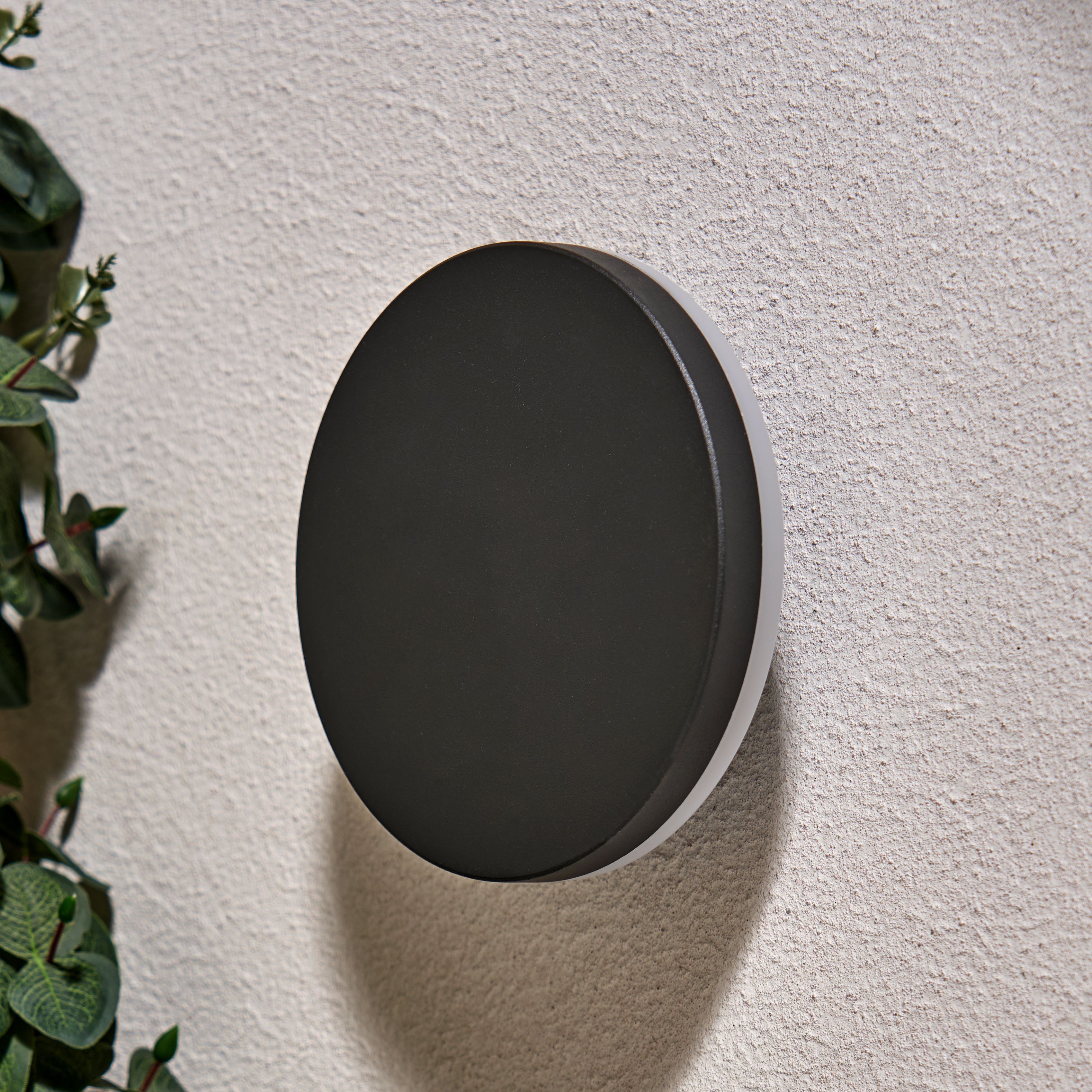 Queira Circular LED Wall Light - Back Lit