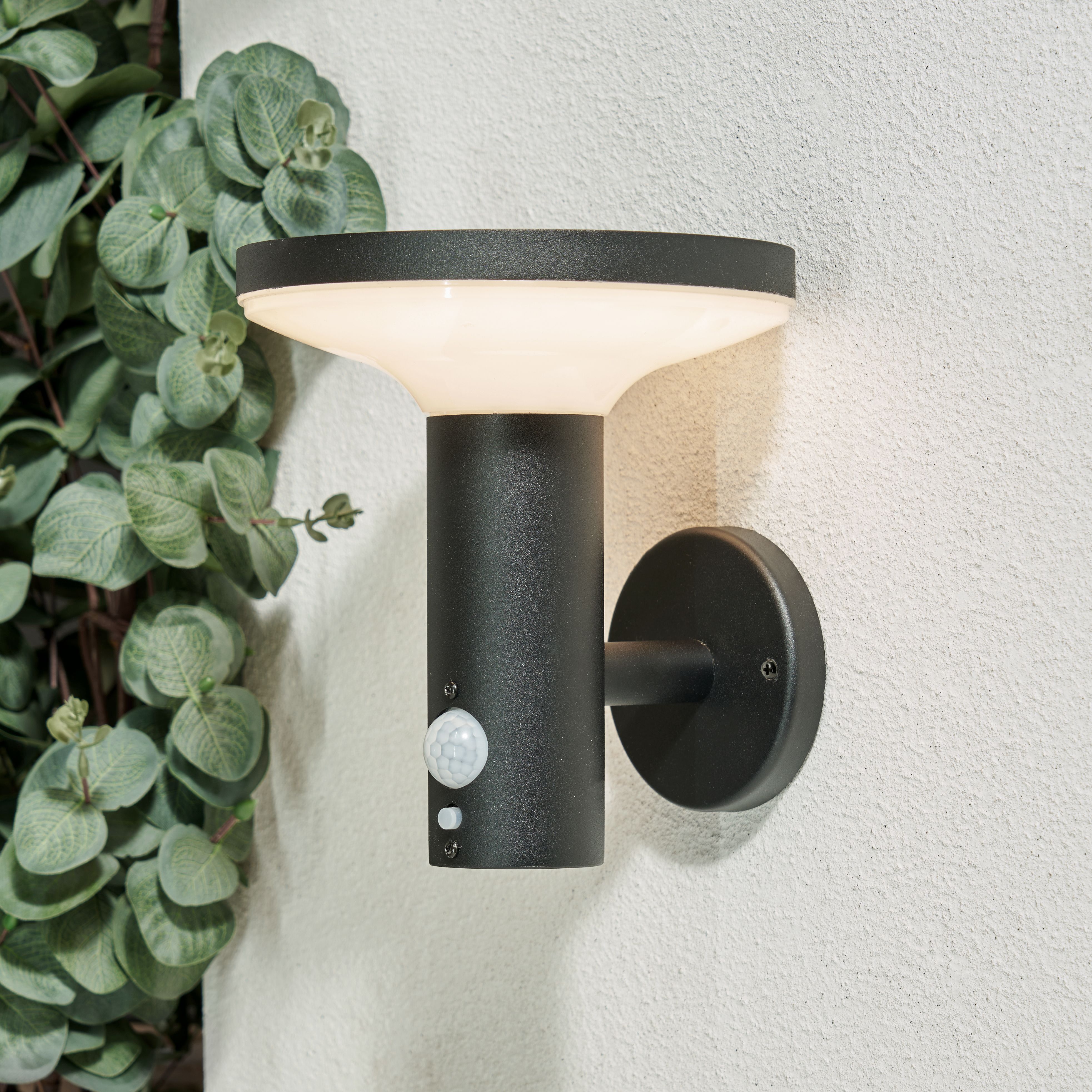 Pilato Solar LED Wall Light Black