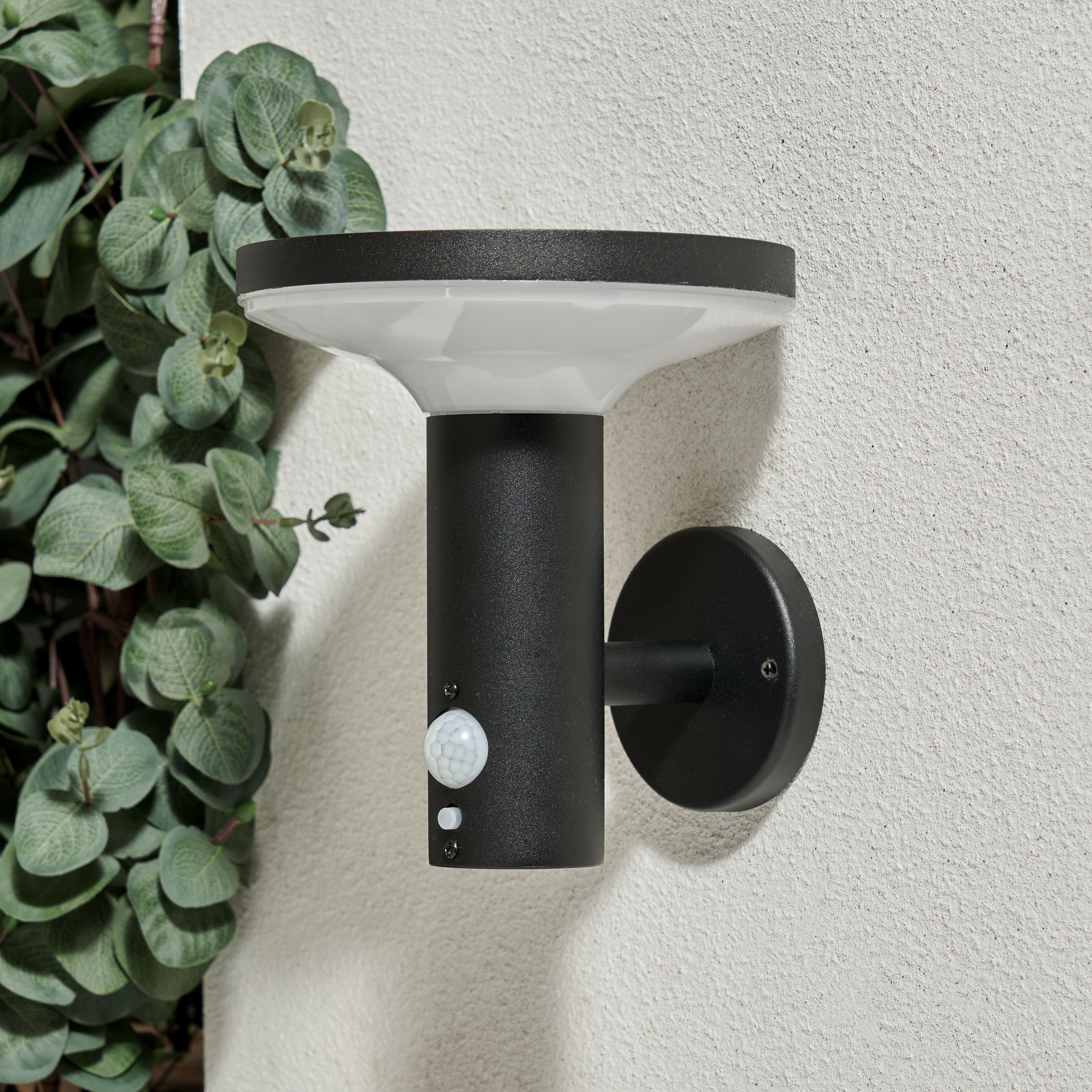 Pilato Solar LED Wall Light Black