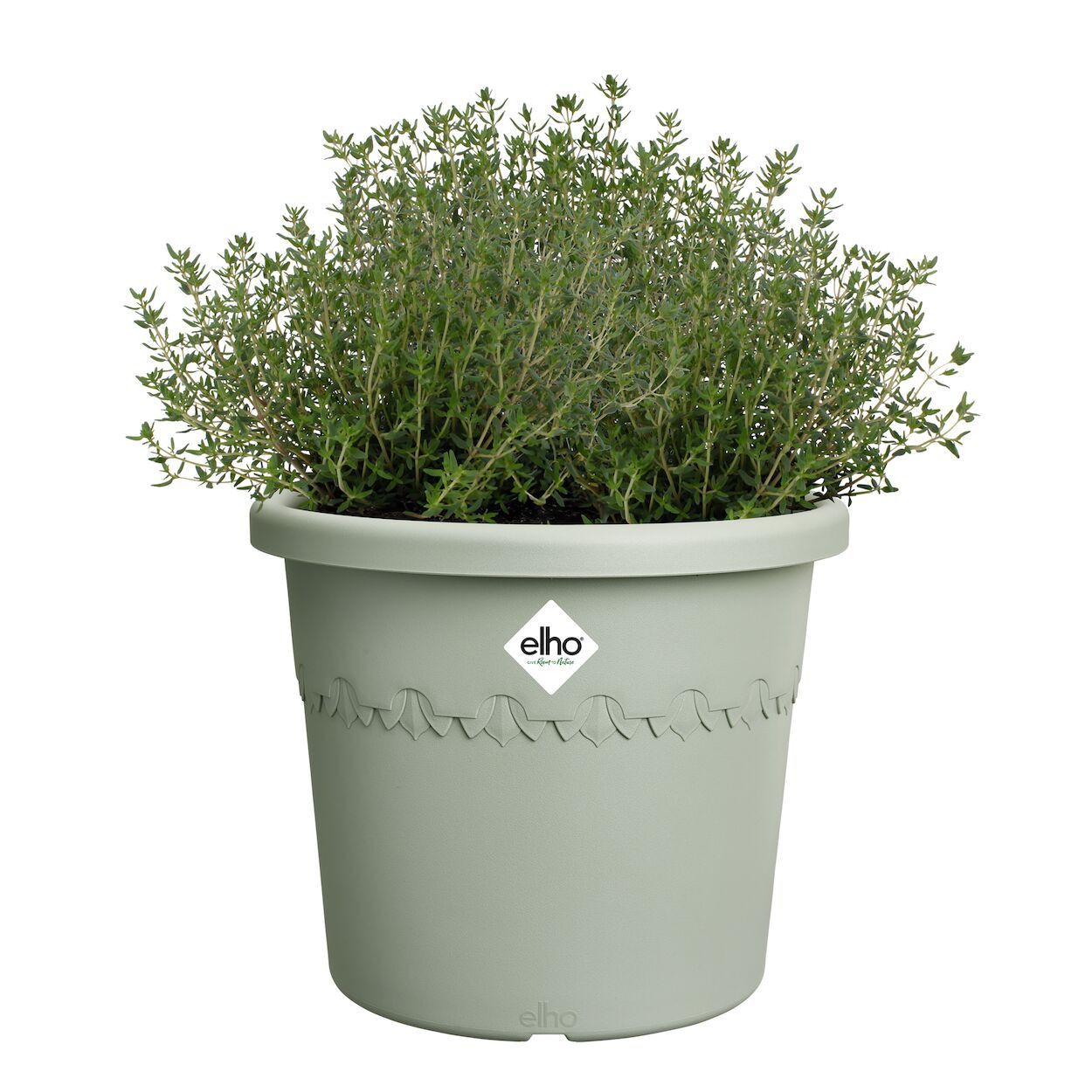 Algarve Cilindro Thyme Pot Green 25cm