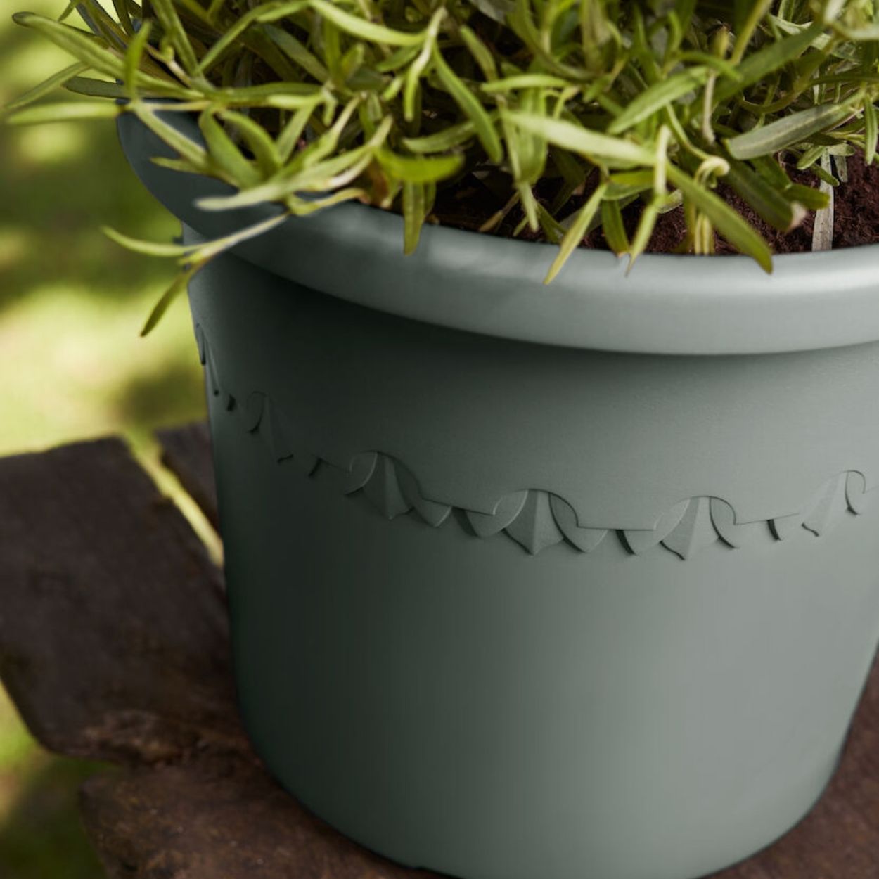 Algarve Cilindro Thyme Pot Green 25cm