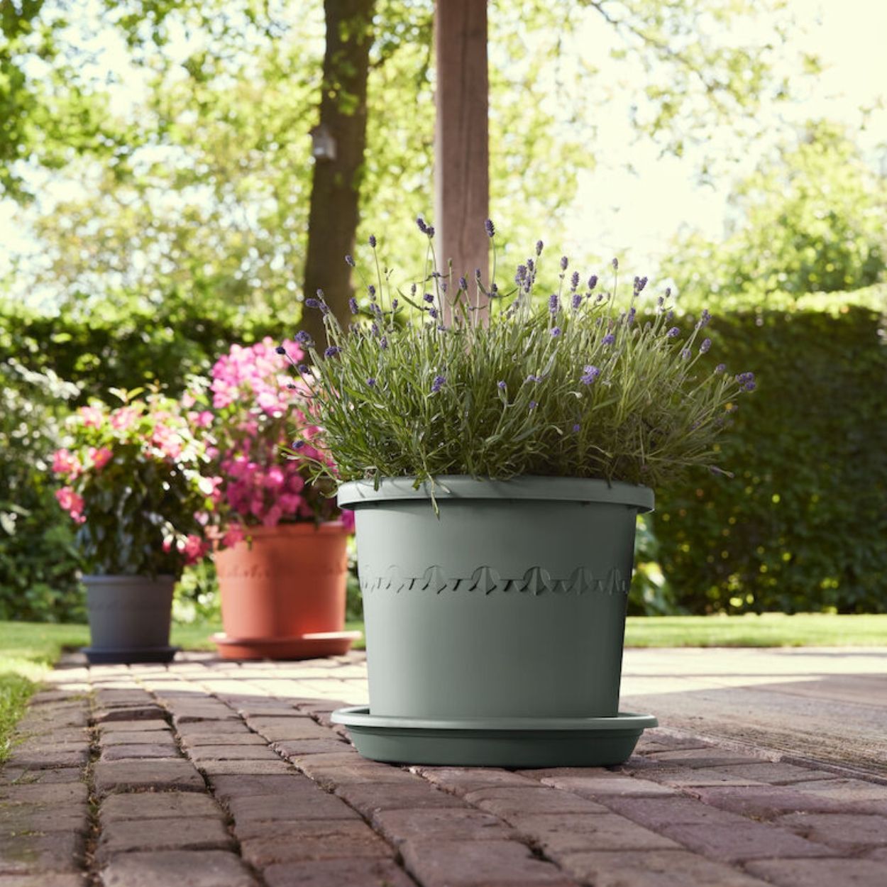 Algarve Cilindro Thyme Pot Green 25cm