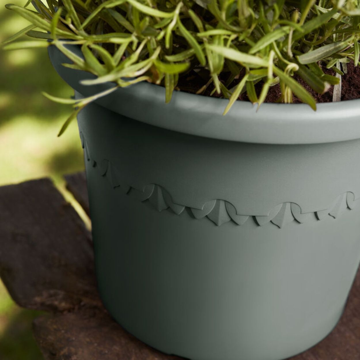 Algarve Cilindro Thyme Green Pot 30cm