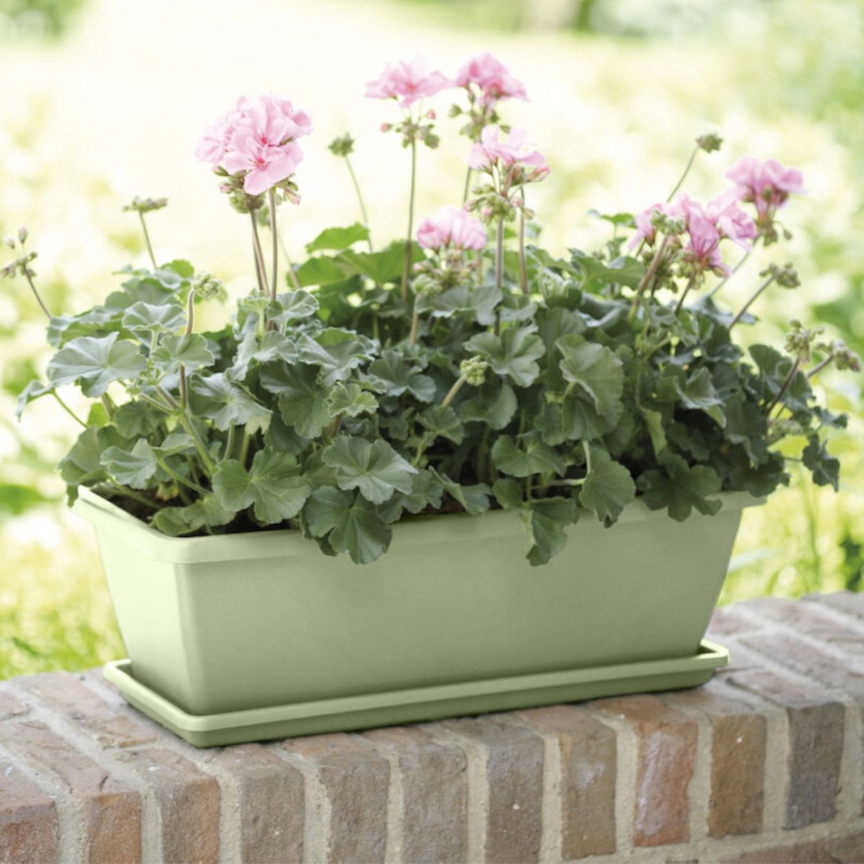Barcelona Trough Pot Pistachio Green 50cm