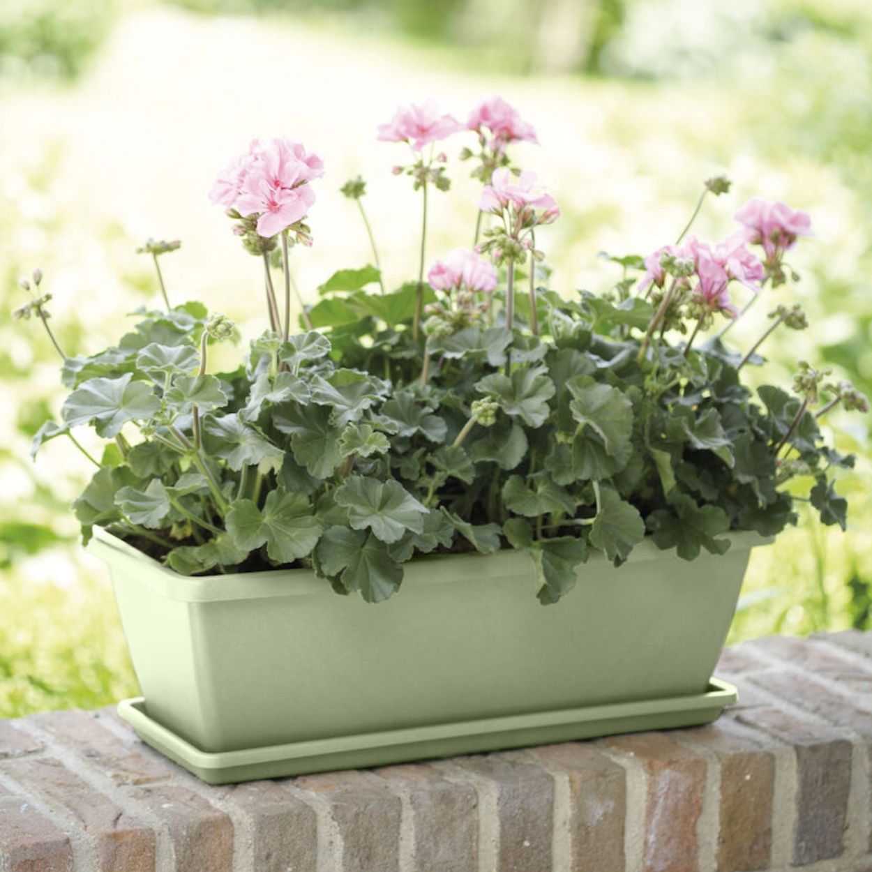 Barcelona Trough Saucer Pistachio Green 50cm