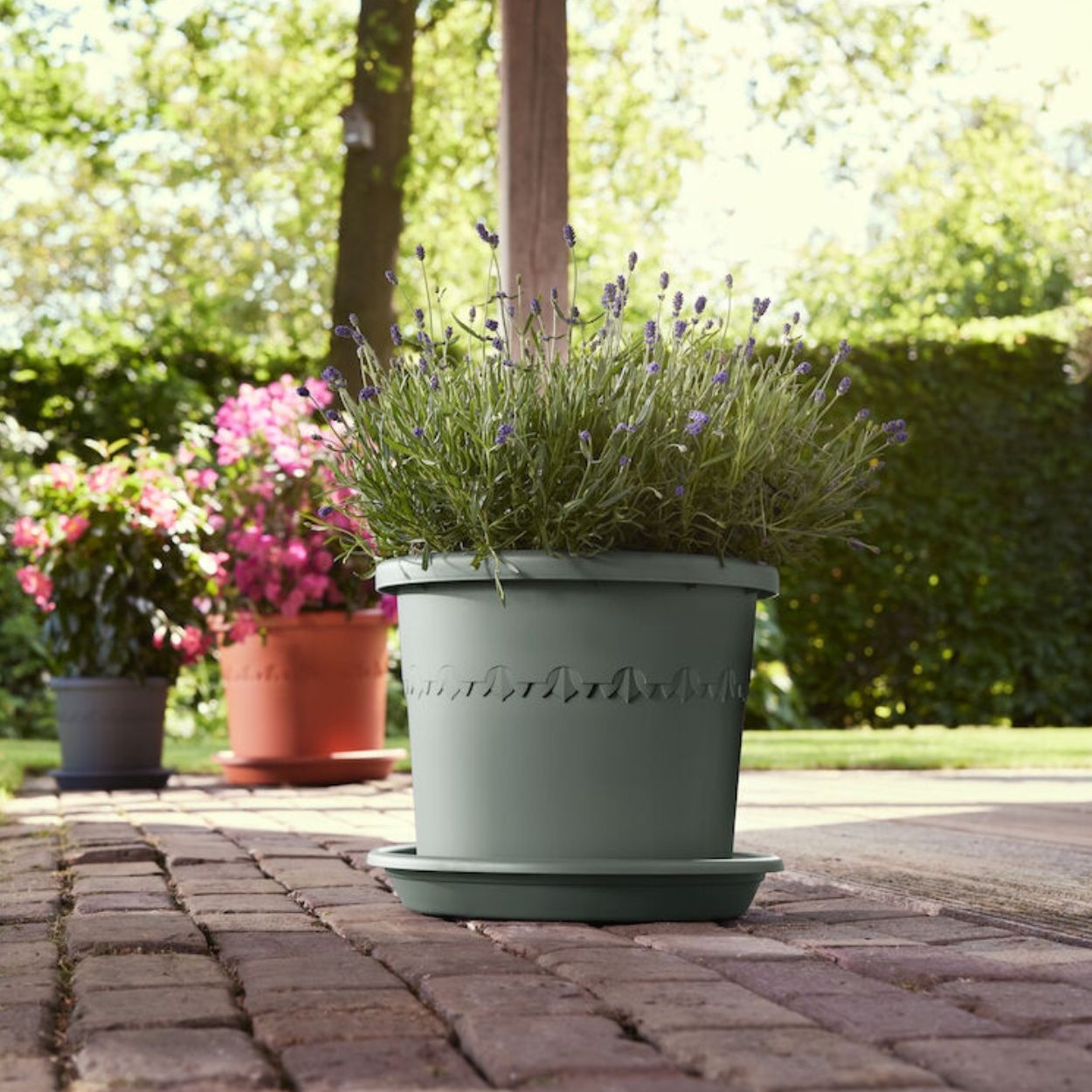 Universal Saucer Thyme Green 25cm