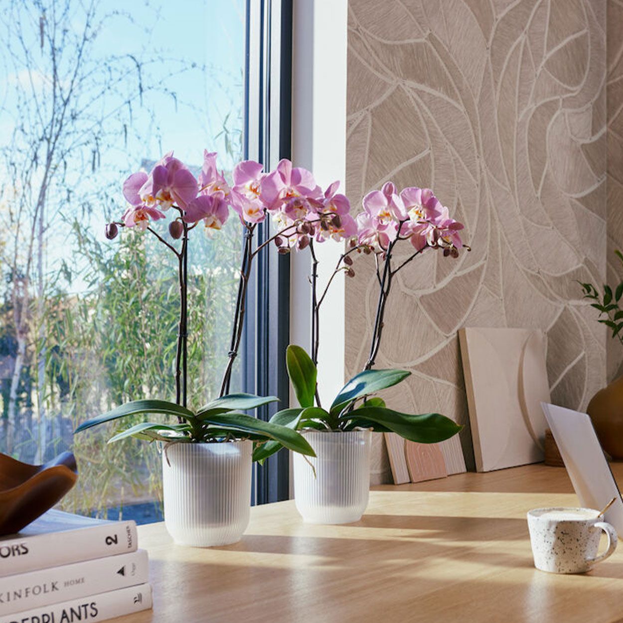 Vibes Fold Orchid Pot Transparent 12.5cm