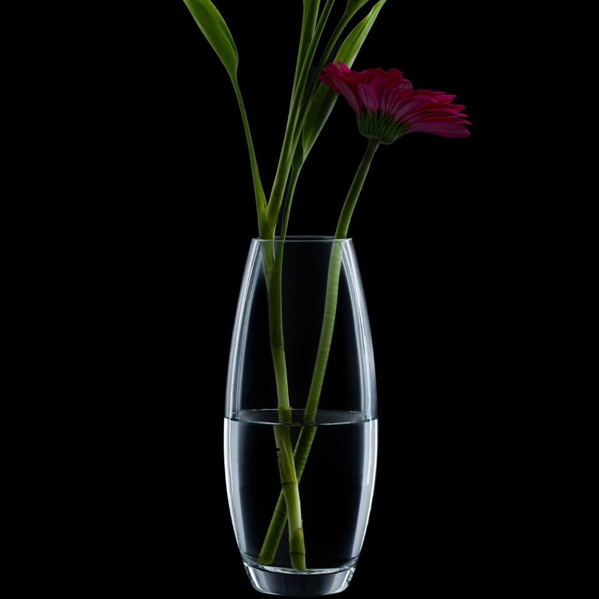 Ravenhead Bullet Vase 23Cm Gift Boxed