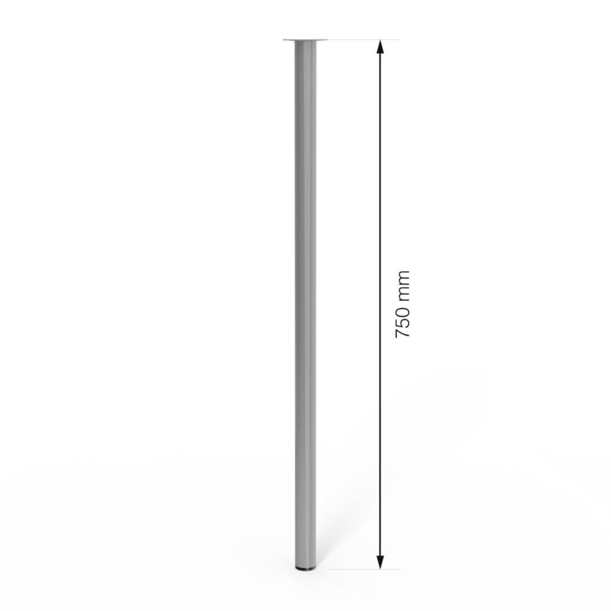 Furniture Leg Grey 30x750mm