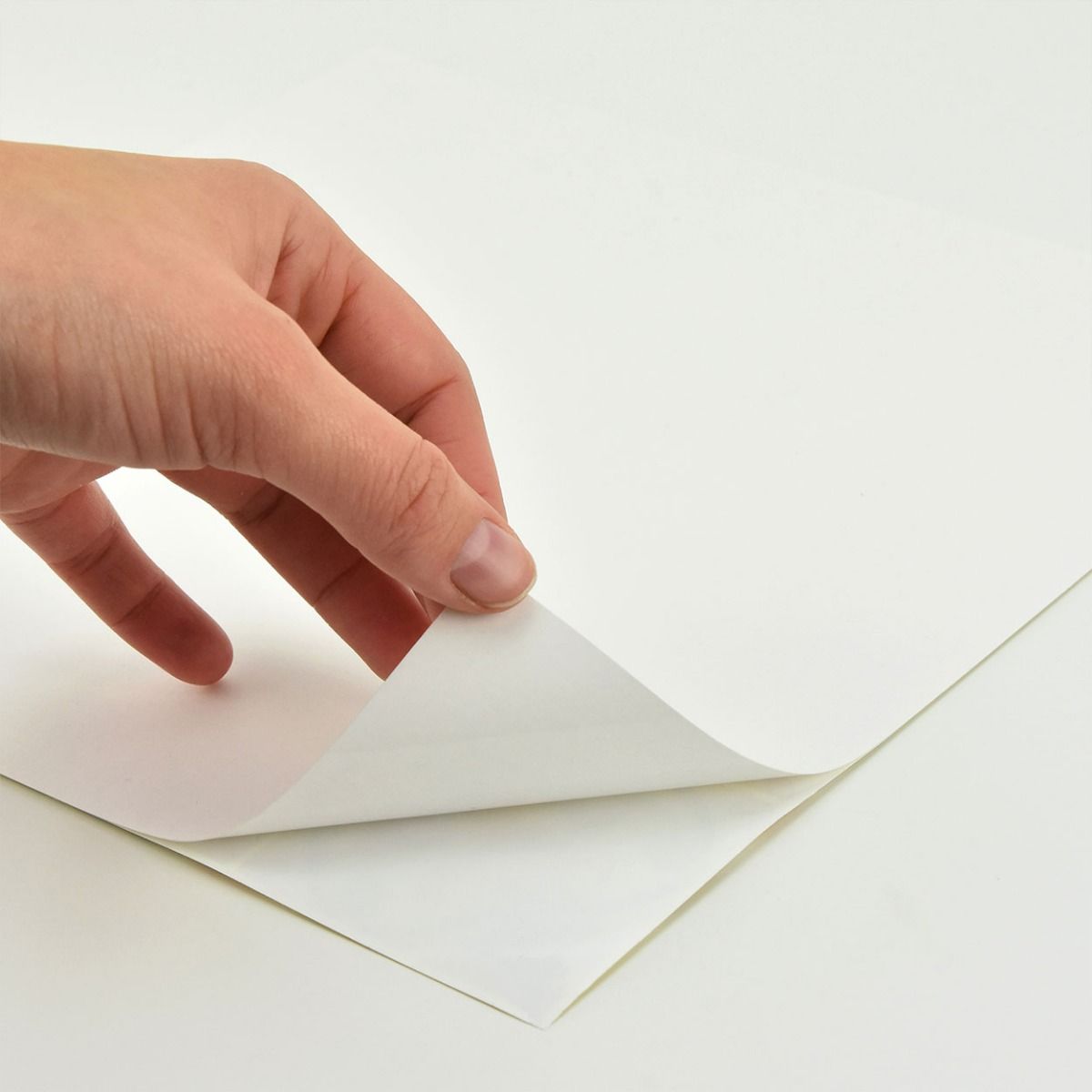 In Home Sea Glass Peel And Stick