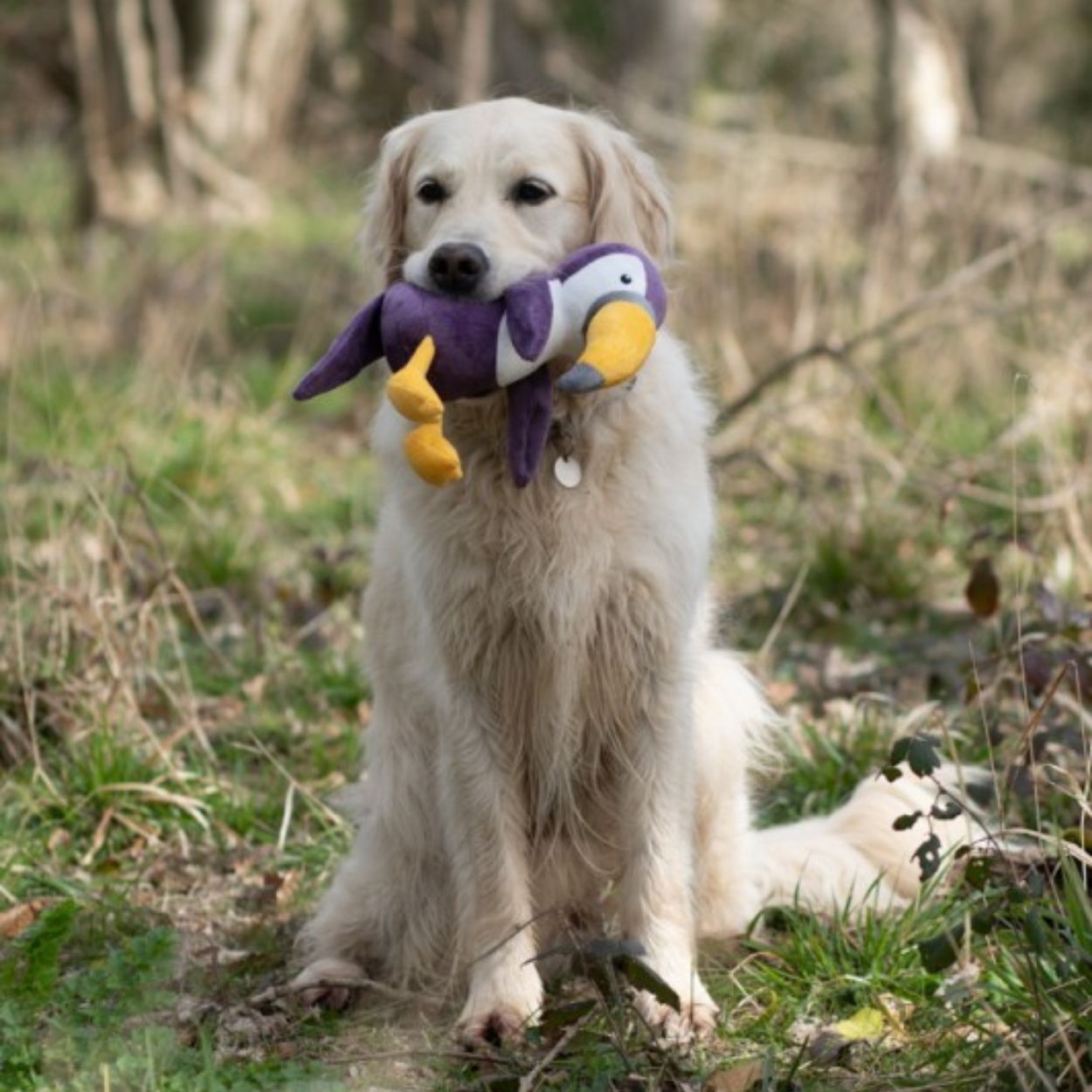 Petface Planet Tegan Toucan Plush Dog Toy
