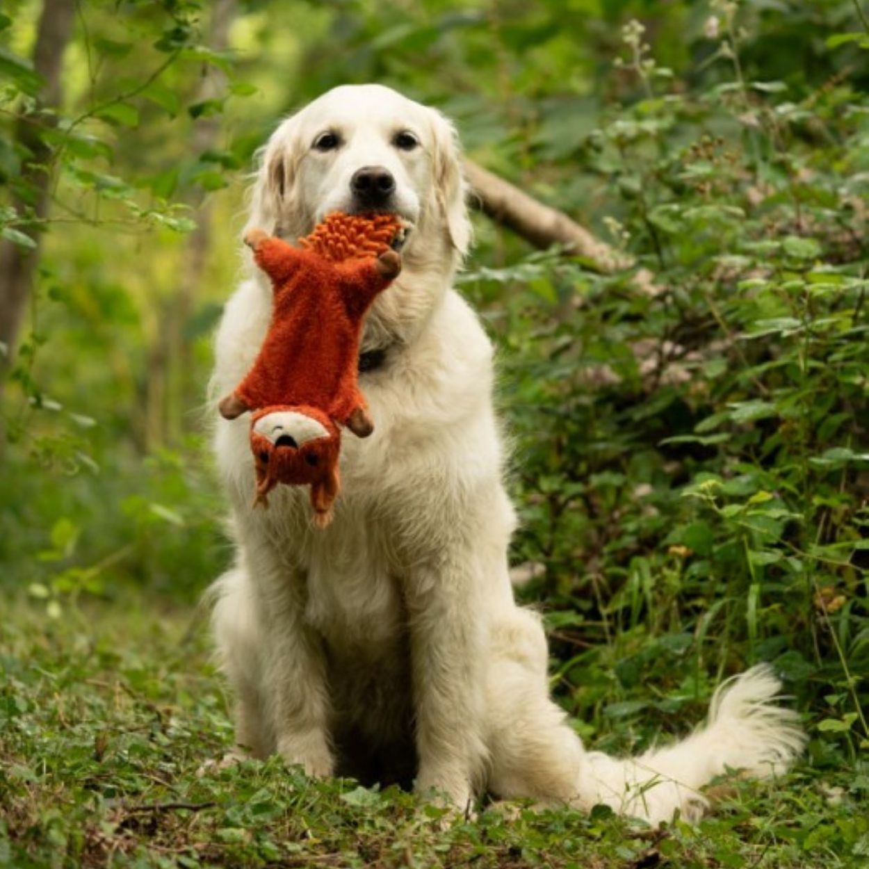 Saffia Squirrel Crinkle Dog Toy