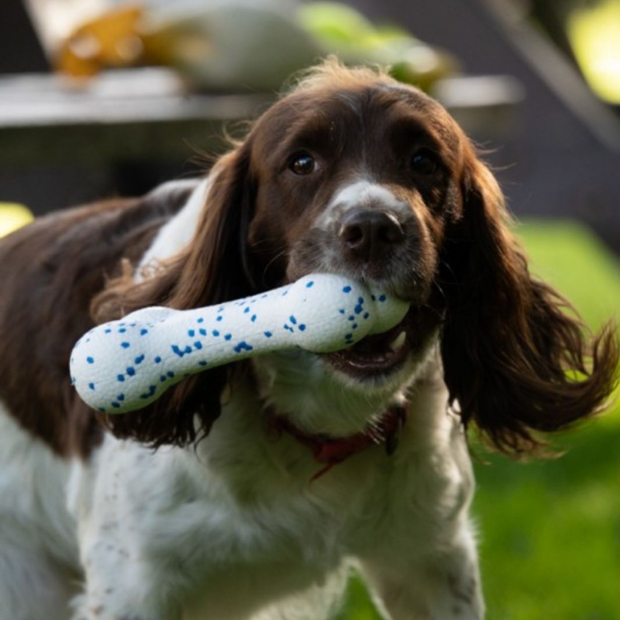 Outdoor Paws Mighty Bone Dog Toy