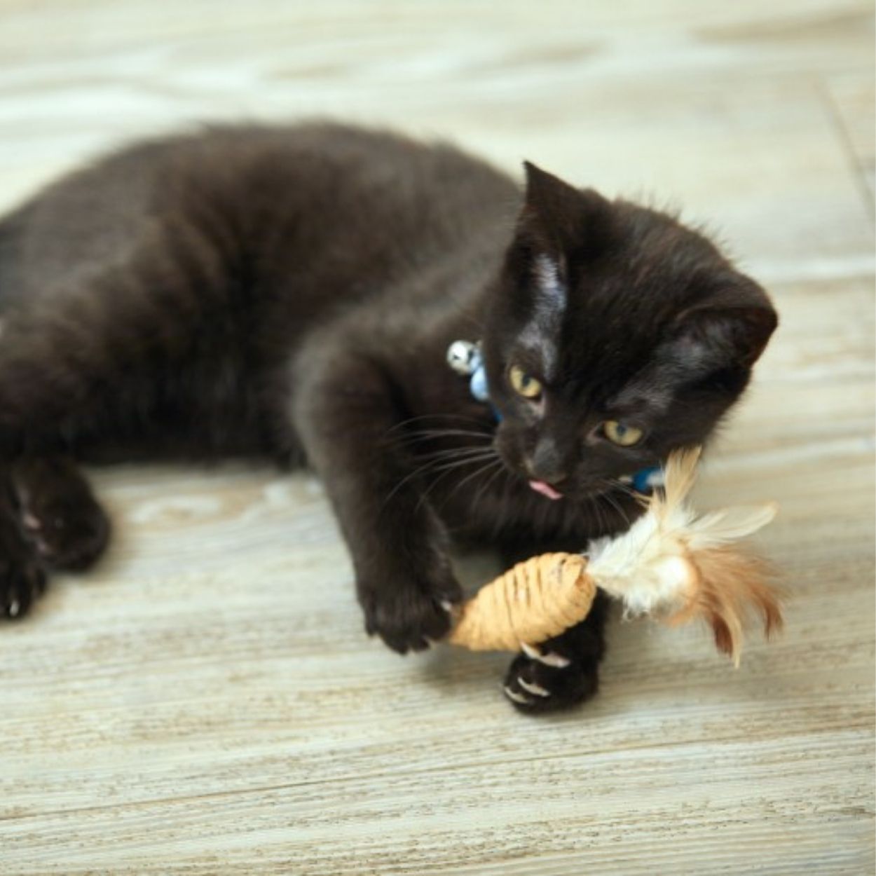 3 Pack Catkins Mini Mice Tails