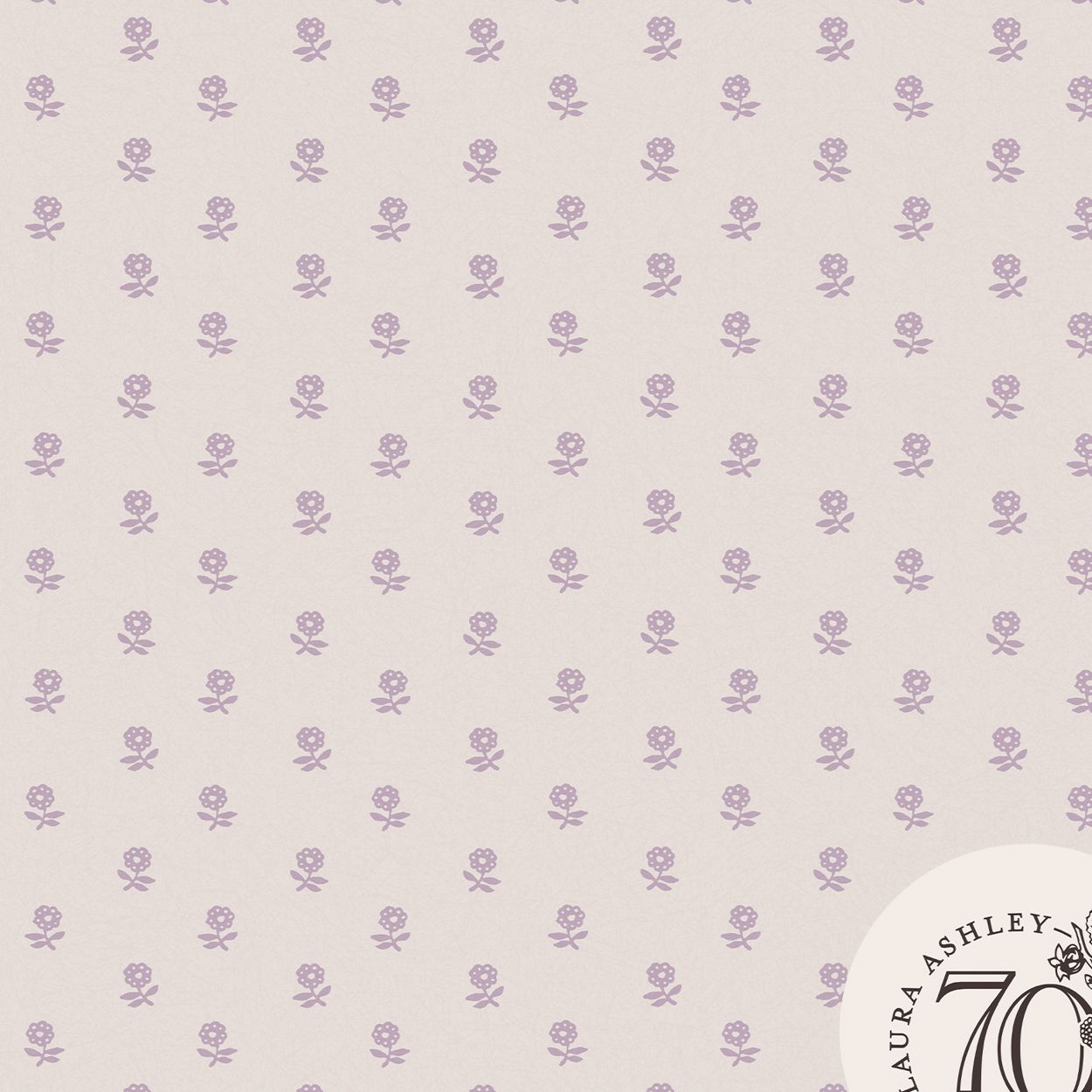 Laura Ashley Daisy Lavender Purple Wallpaper