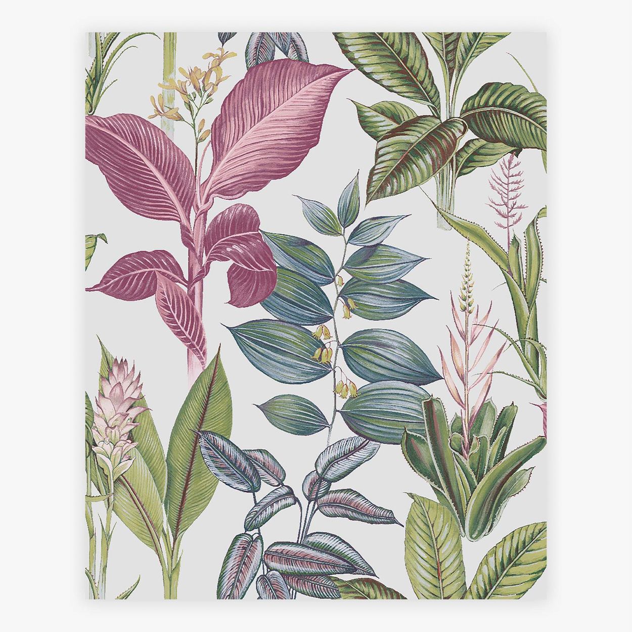 Next Fantasy Rainforest Leaves Wallpaper