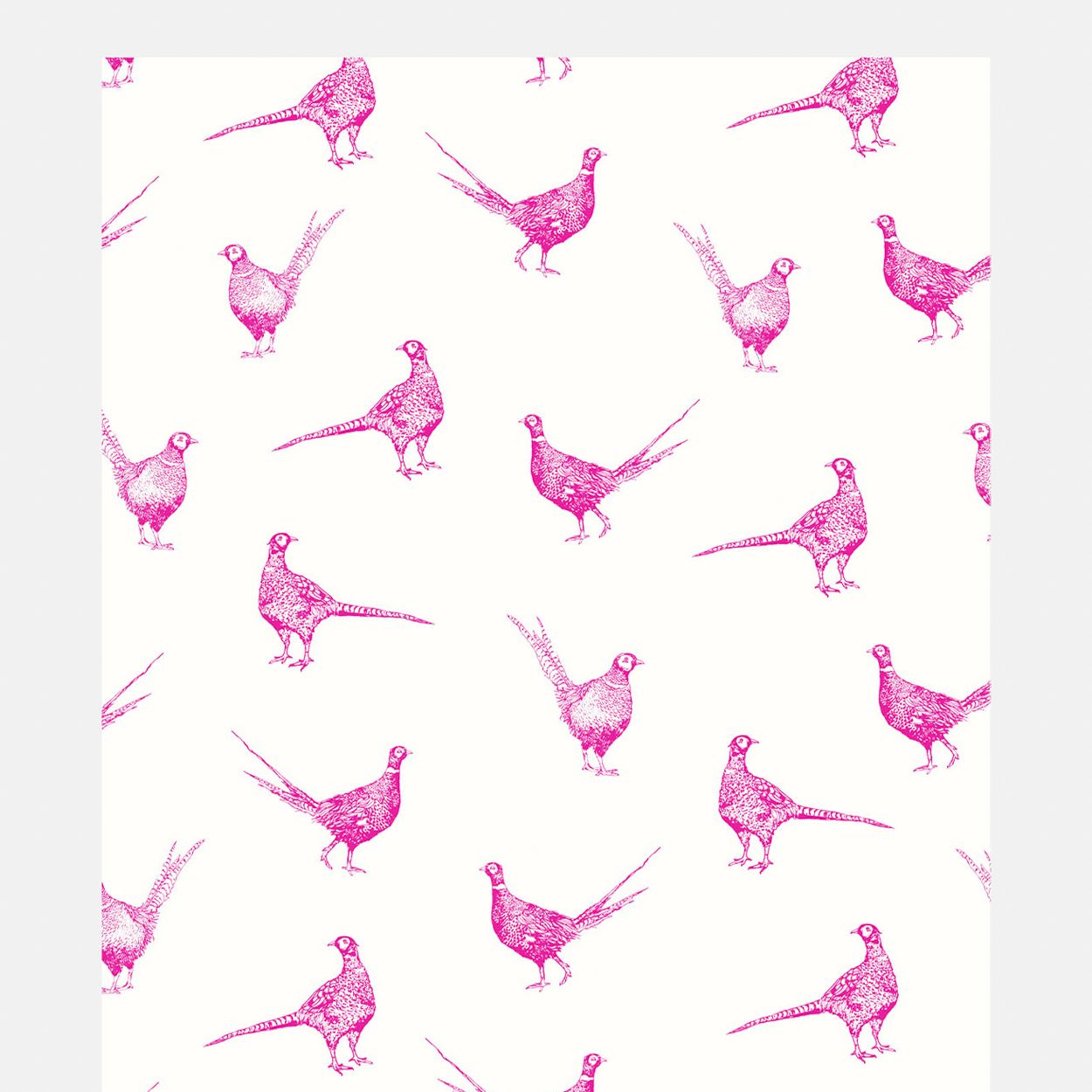 Joules Flirty Pheasants Truly Pink Wallpaper