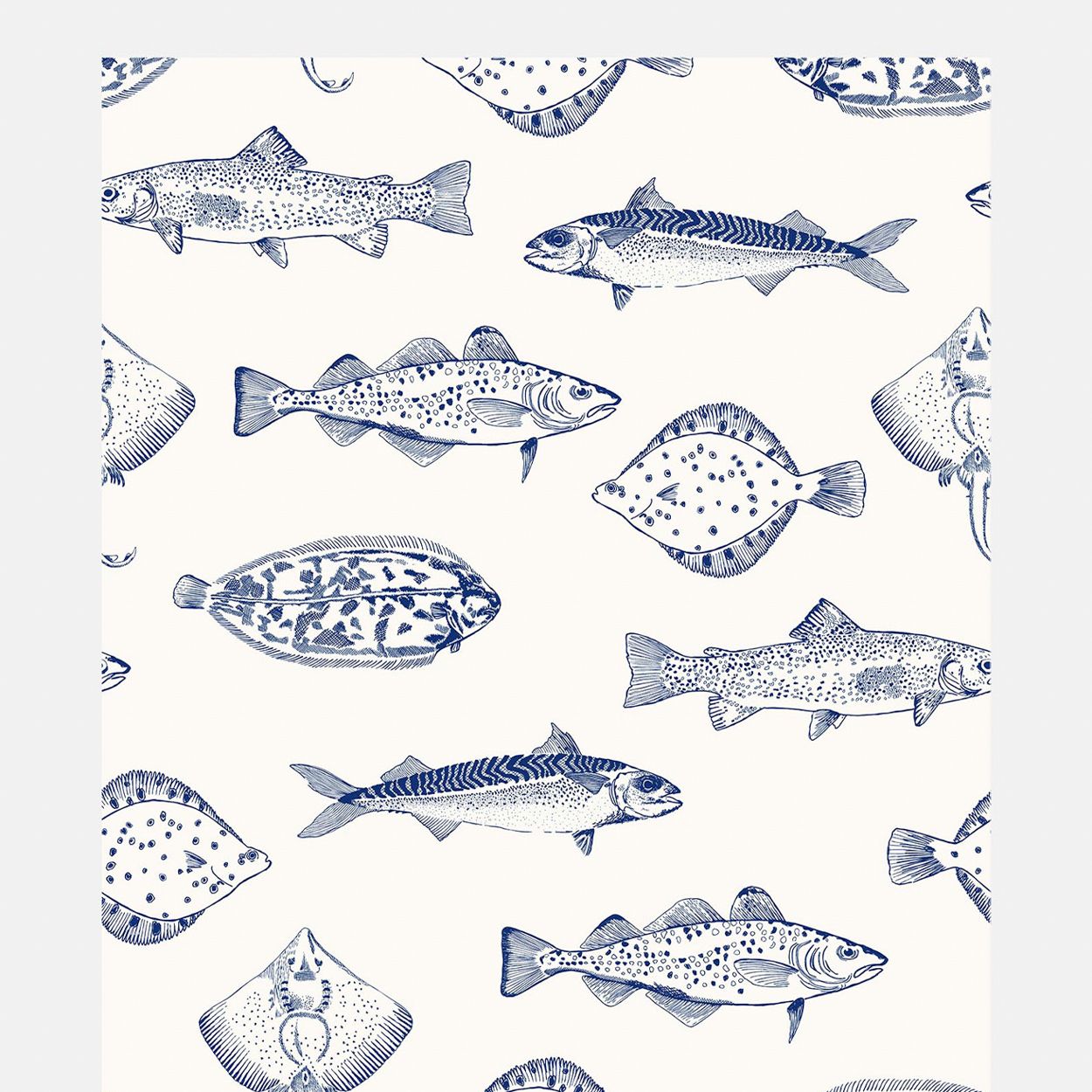 Joules Name The Plaice Coast Blue Wallpaper