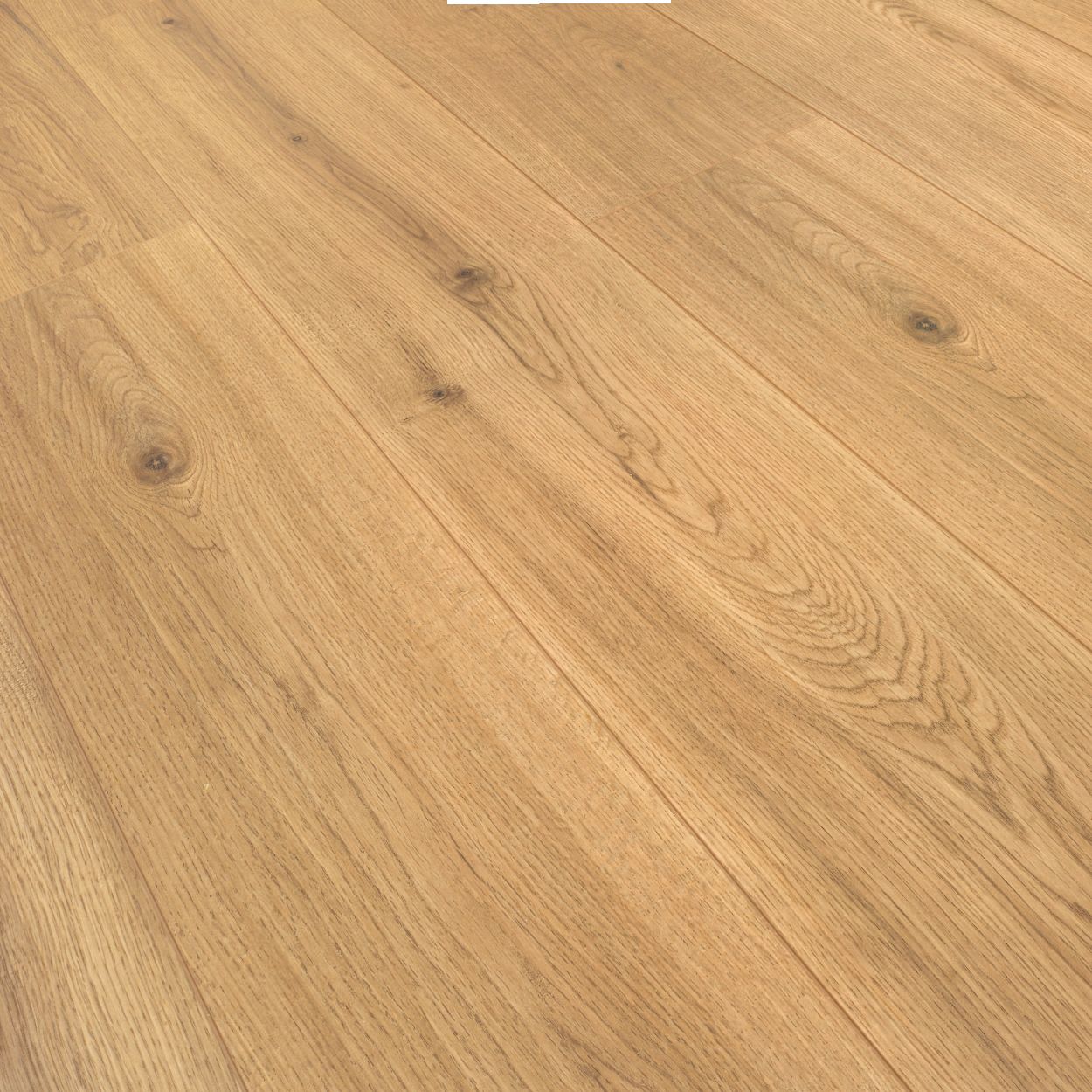 10mm Realp Oak Laminate 1.8sqm
