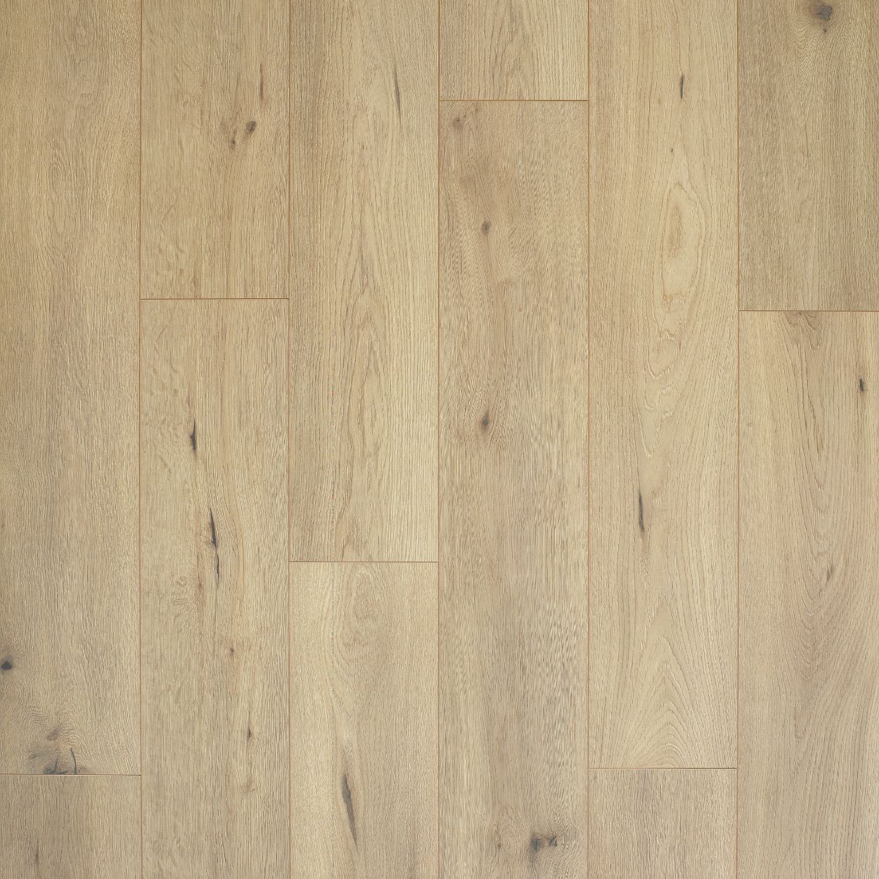 12mm Artisan Oak Laminate 1.33sqm