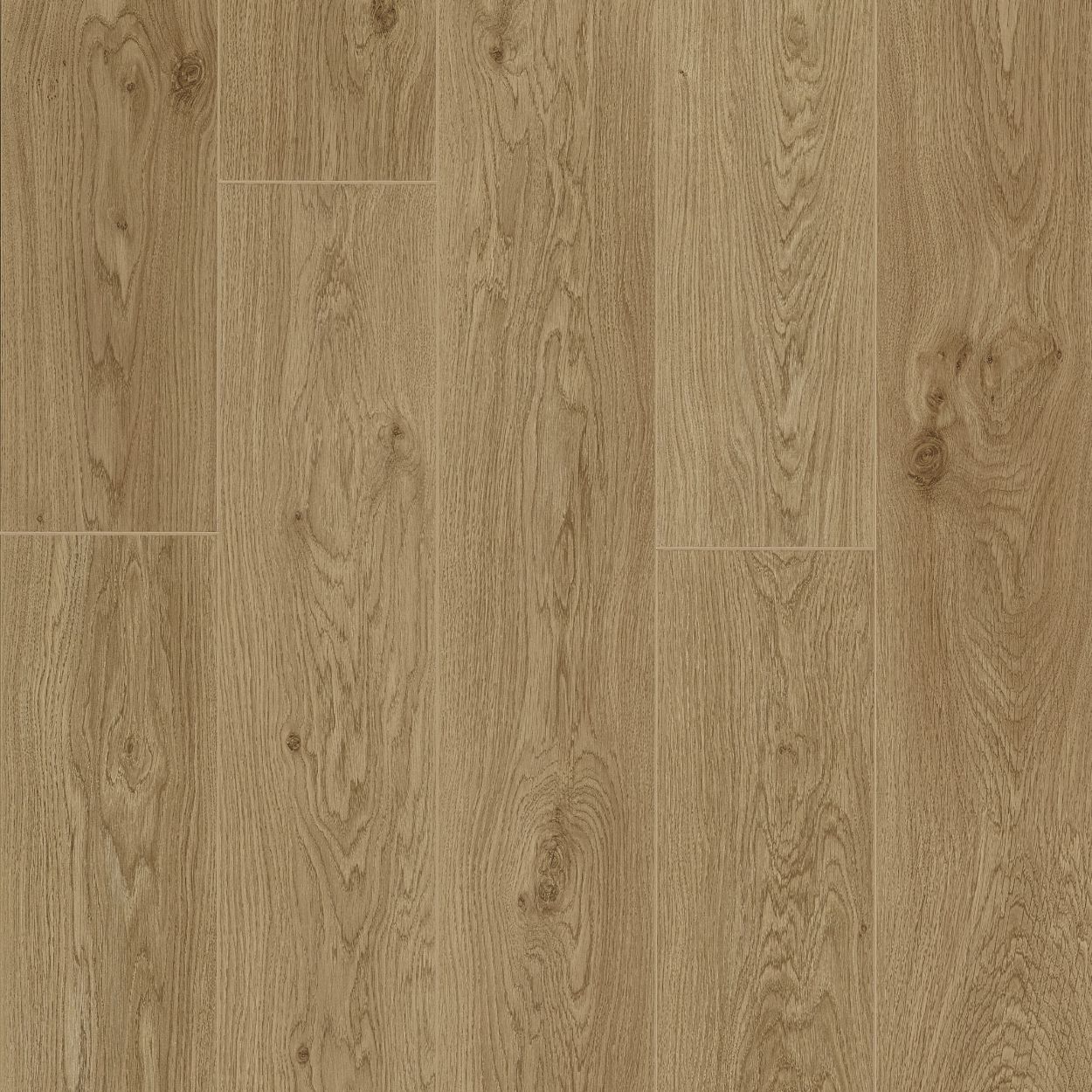 8mm Lotus Oak Smartline Hydro Laminate 2.2sqm
