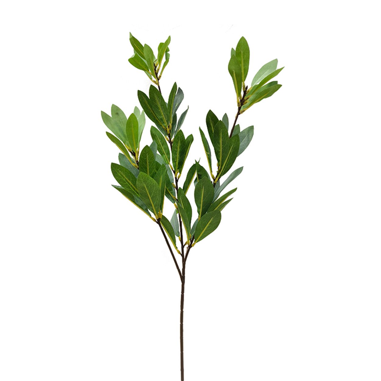 54cms Single Branch, Green