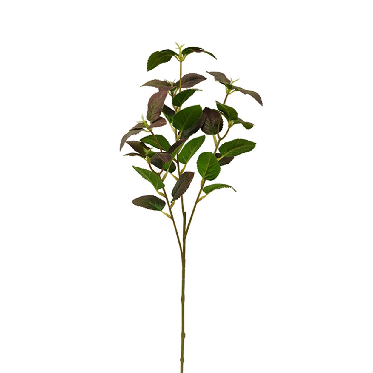 55cms Single Mint Leaf, Green