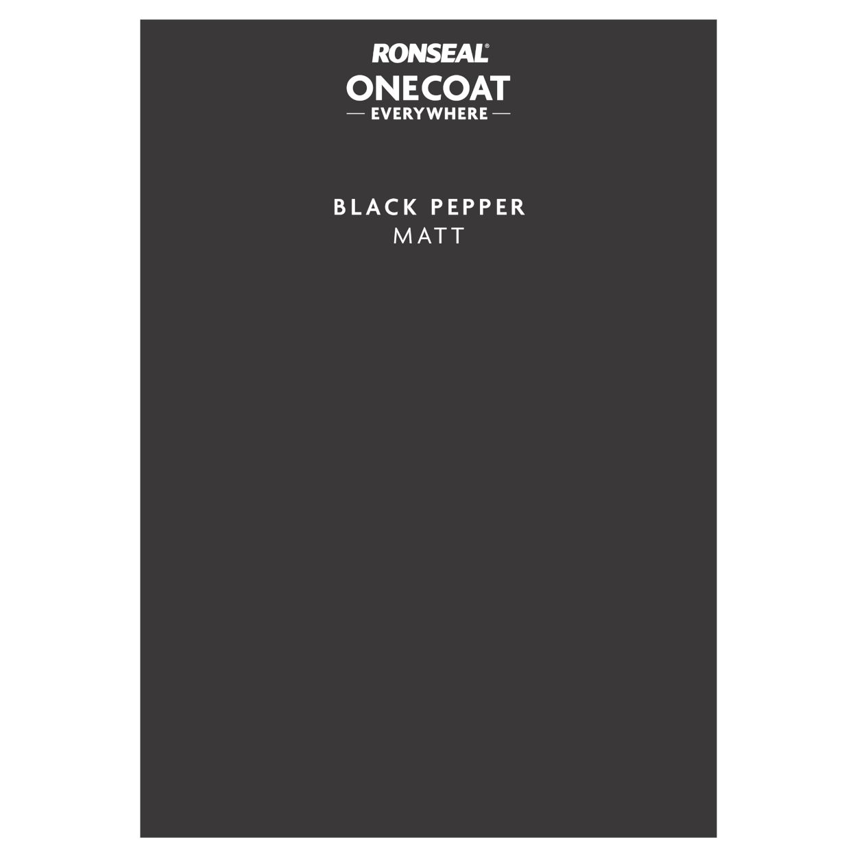 Ronseal One Coat Everywhere Paint Peel & Stick Black Pepper