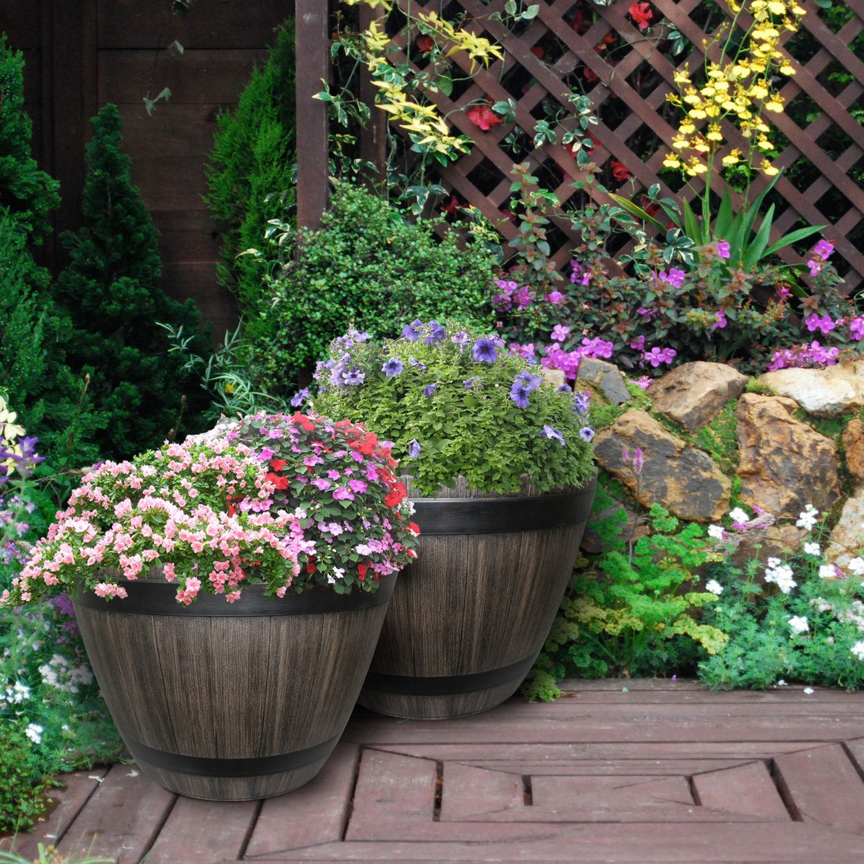 Wine Barrel 38cm - Kentucky Walnut