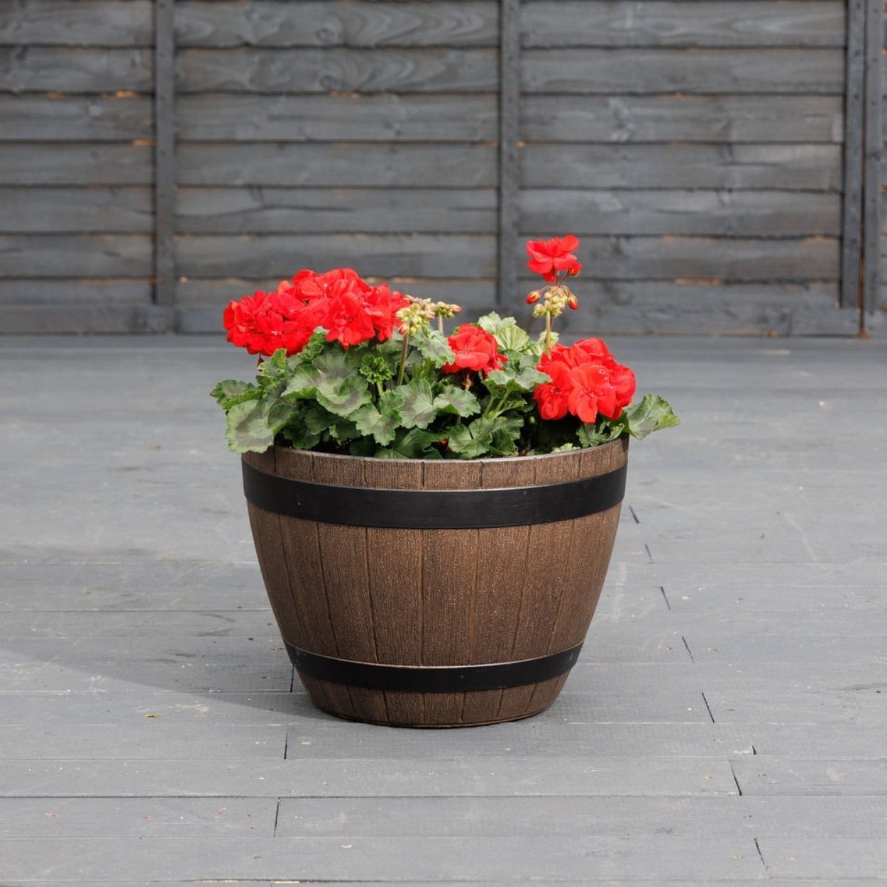 Wine Barrel 38cm - Kentucky Walnut