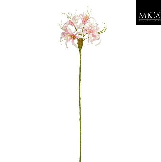 Nerine Stem Pink 59cm