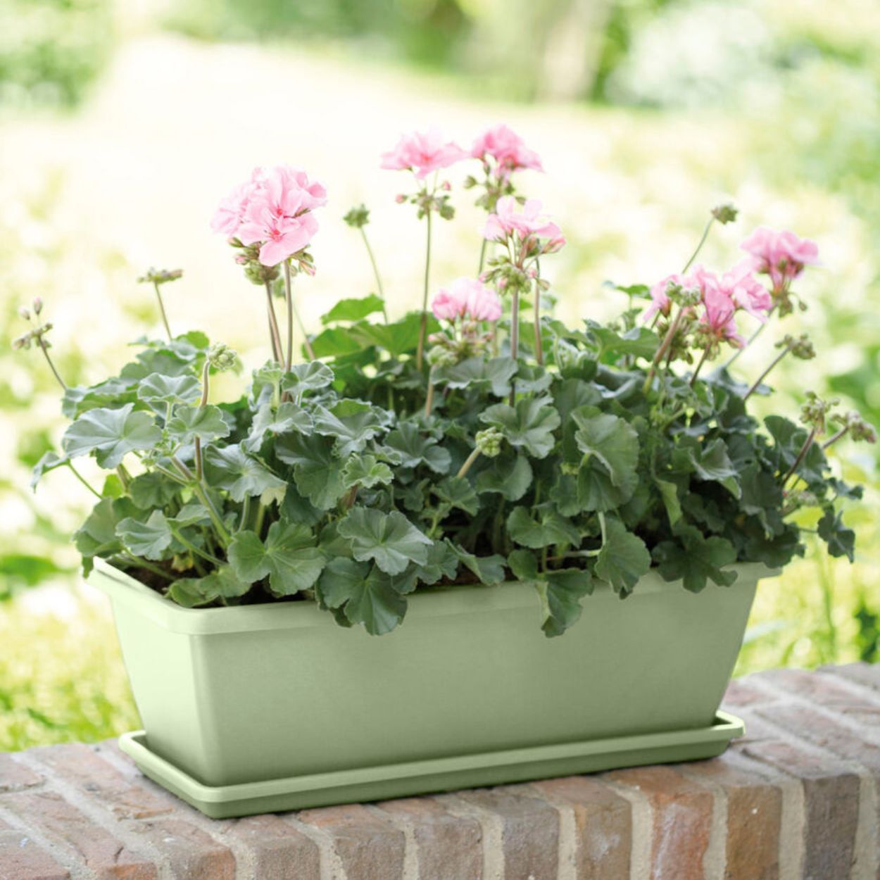 Barcelona Trough 40cm - Pistachio Green