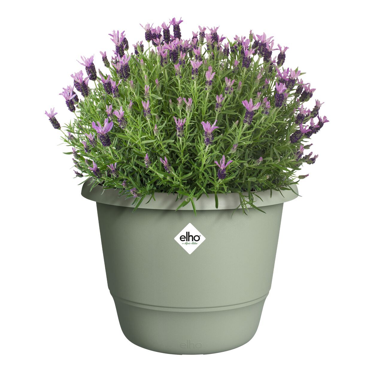 amiga round 40cm thyme green