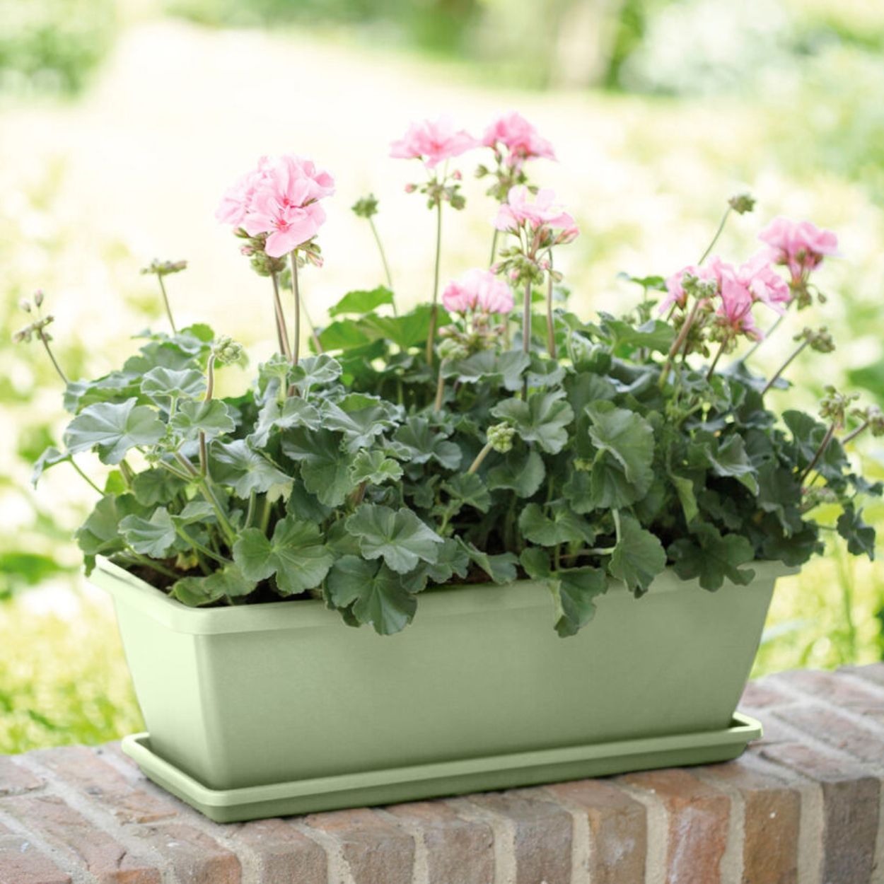 barcelona trough saucer 40cm pistachio green