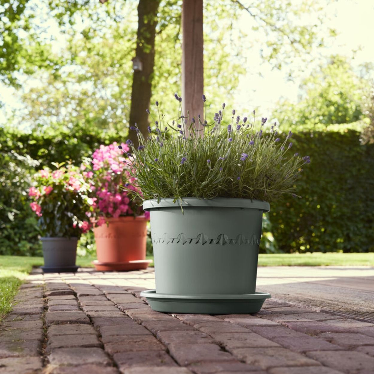 universal saucer round 35cm thyme green