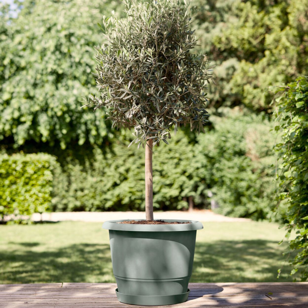 Loft Urban Round Saucer 30cm - Thyme Green