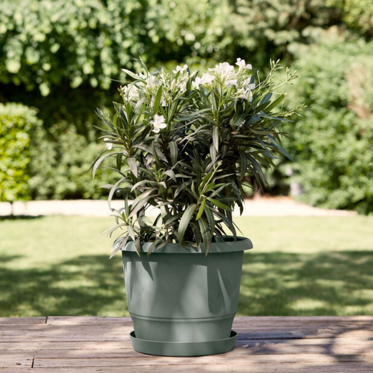 Loft Urban Round Saucer 17cm - Thyme Green