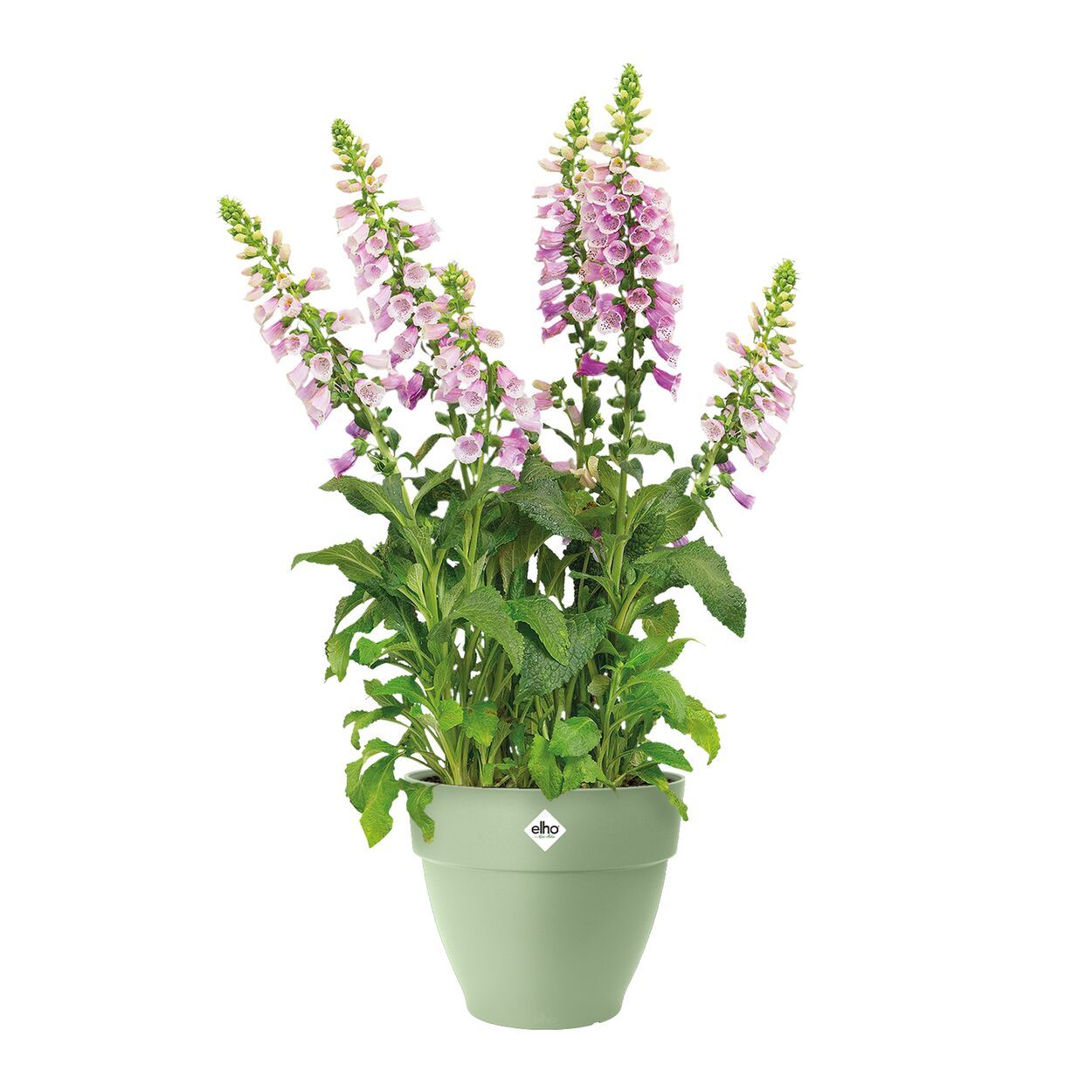 Vibia Campana Round 25cm - Pistachio Green