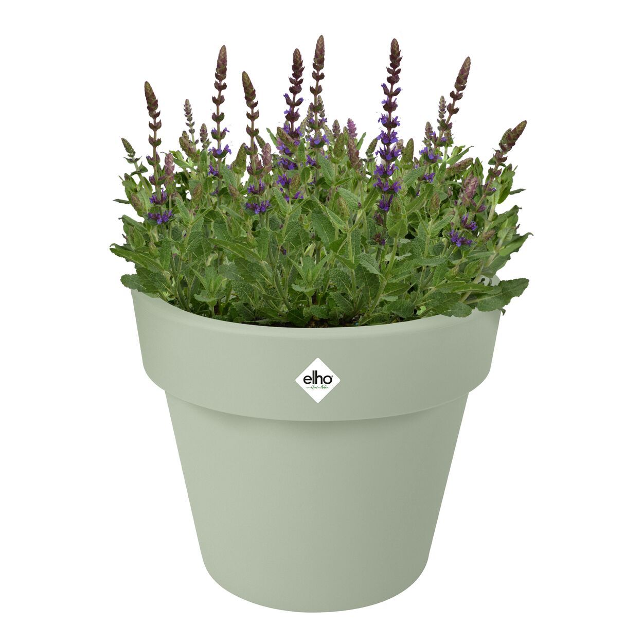 Elho Green Basics Top Planter 30cm Green