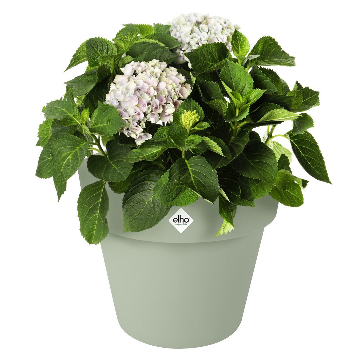Elho Green Basics Top Planter 30cm Green
