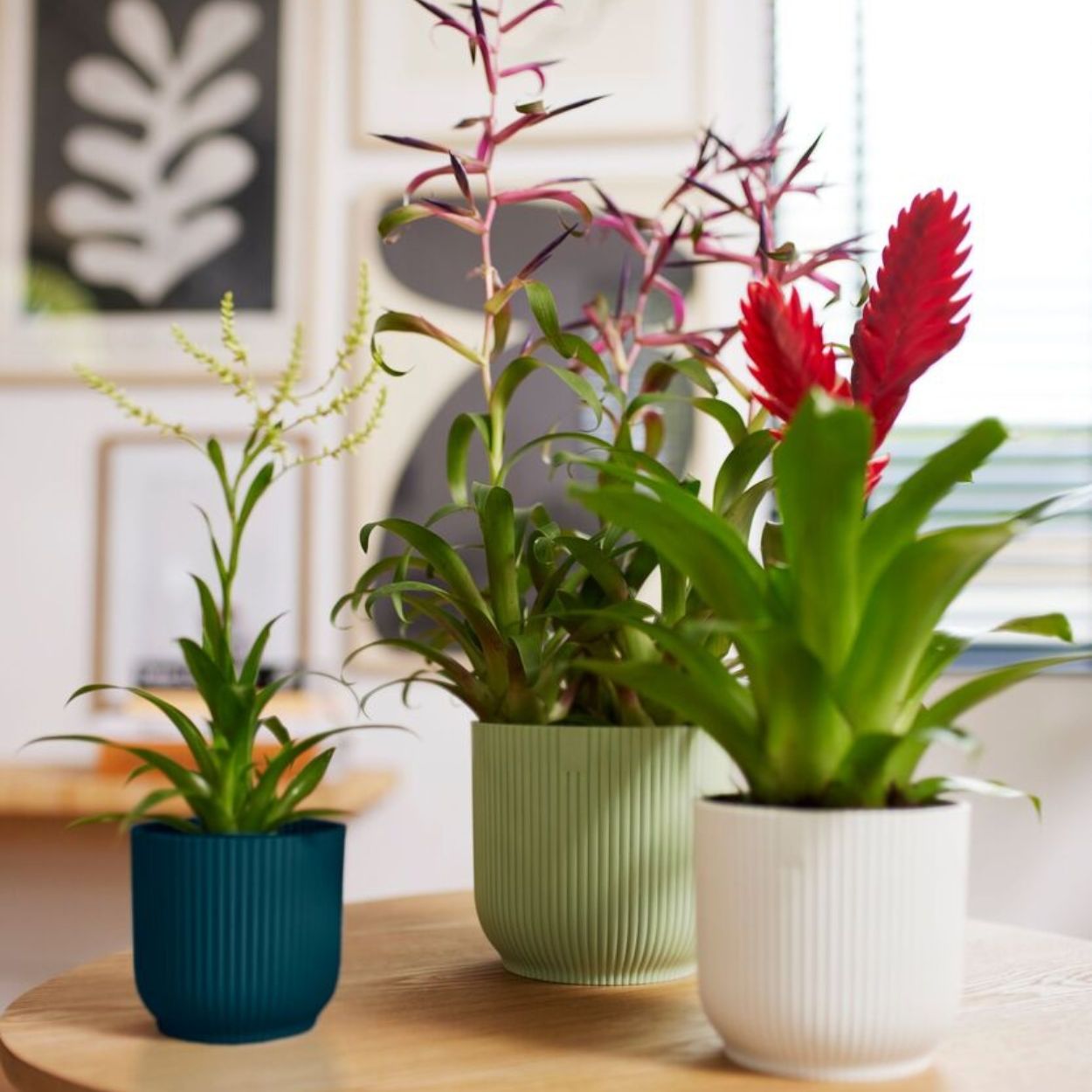 Elho Vibes Fold Round Pot 18cm - Green