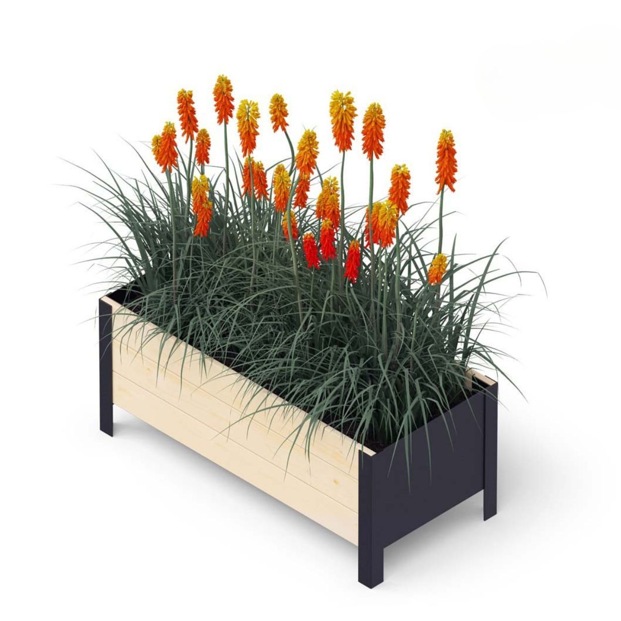 Modernbox 78X36Cm Natural