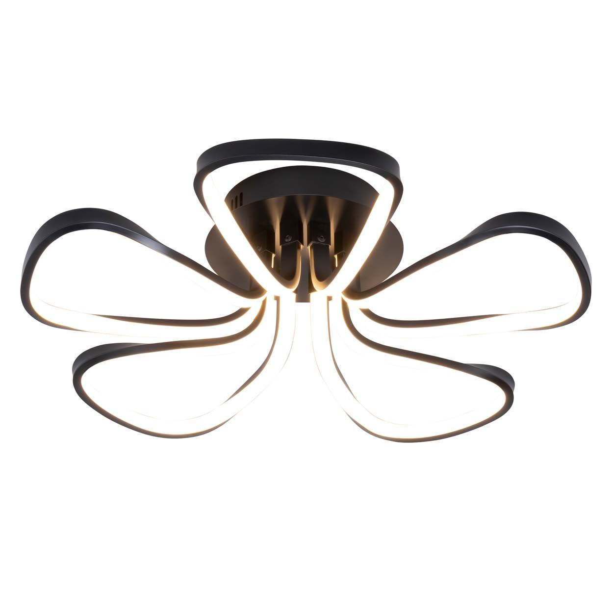 Cascade Lighting Brien 5 Petals Led Flush Black