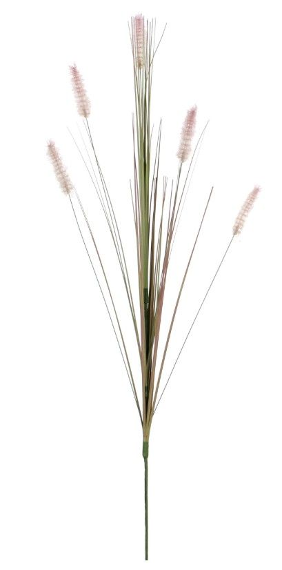 Dogtail Grass Purple 84cm