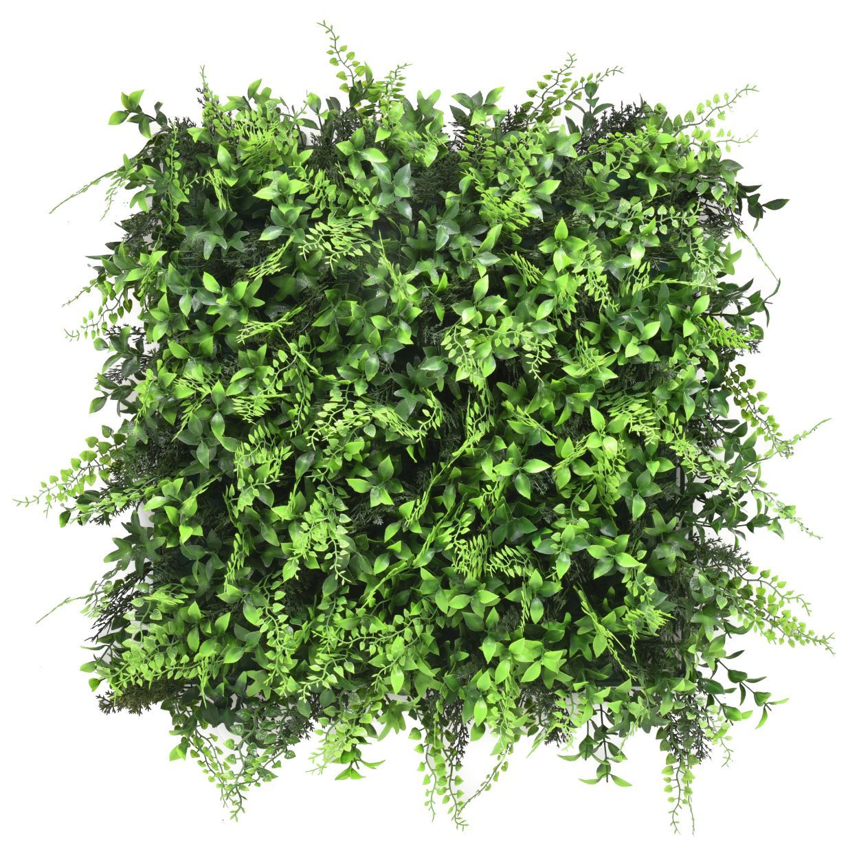 Green Flourish Yard 50cm x 50cm