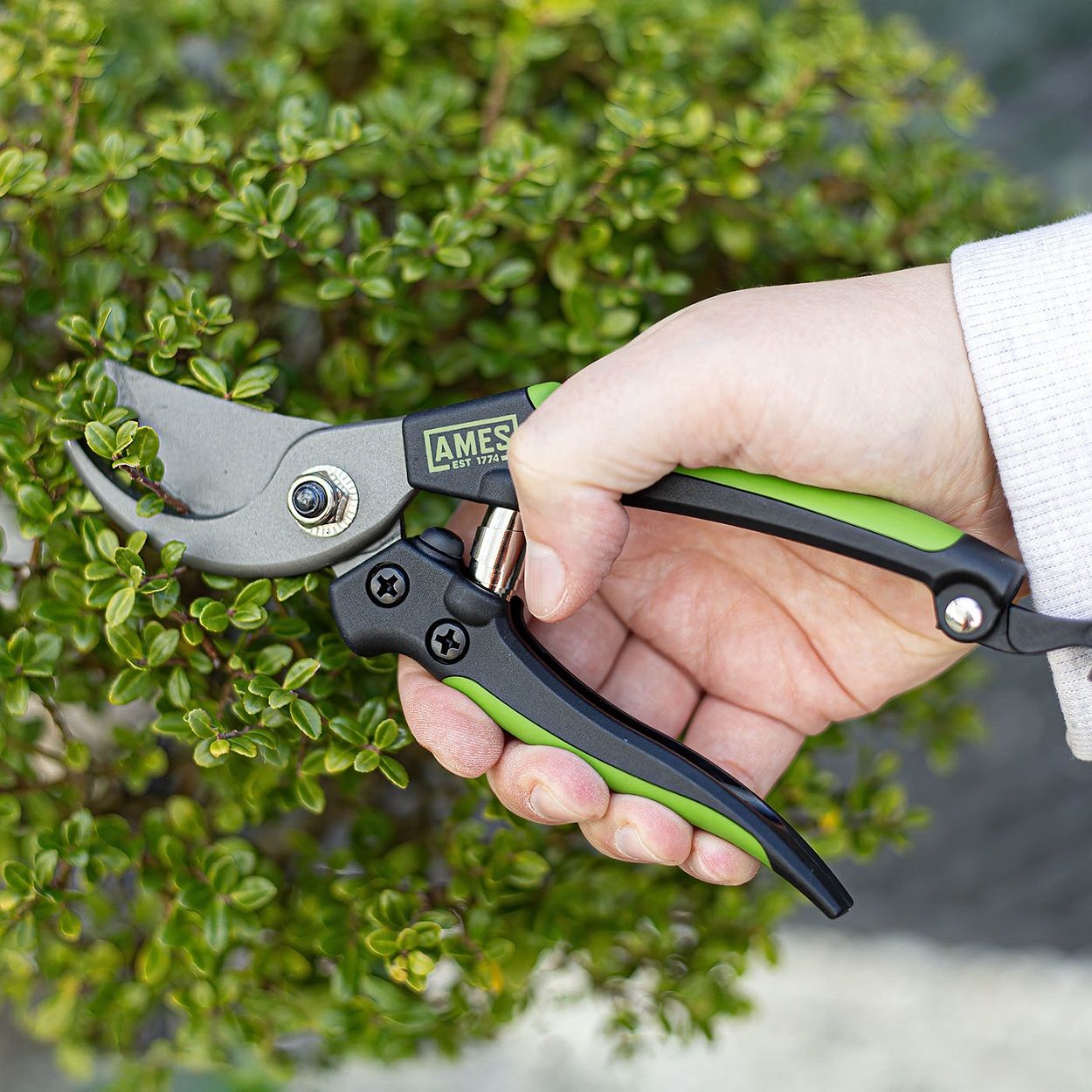 AMES Compact Bypass Pruner