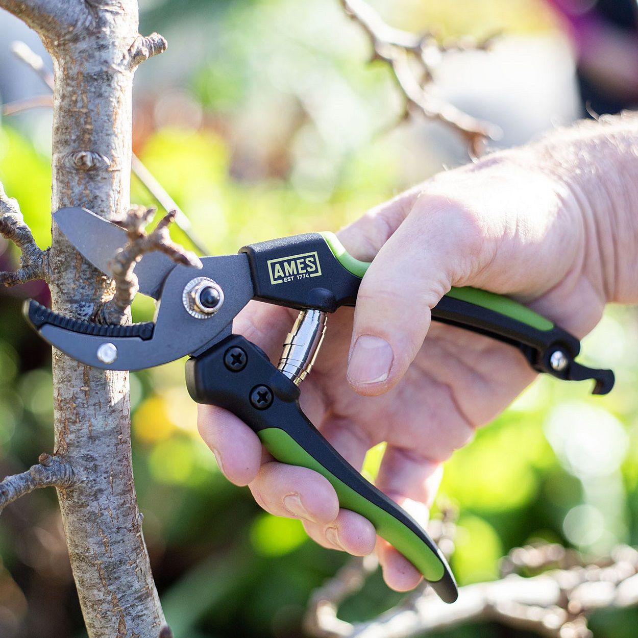 AMES Anvil Pruner