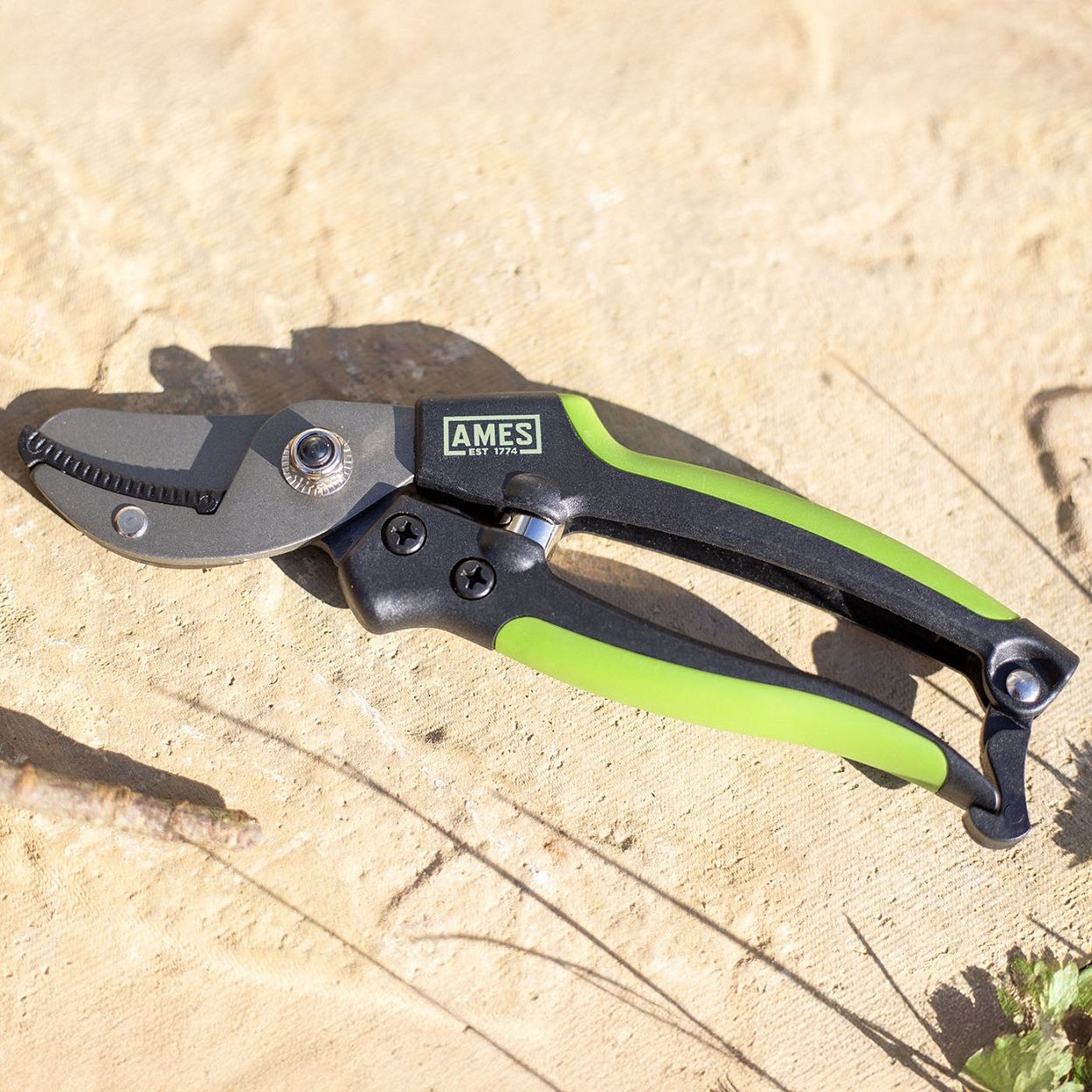 AMES Anvil Pruner