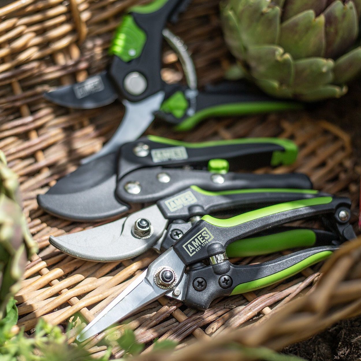 AMES Anvil Pruner