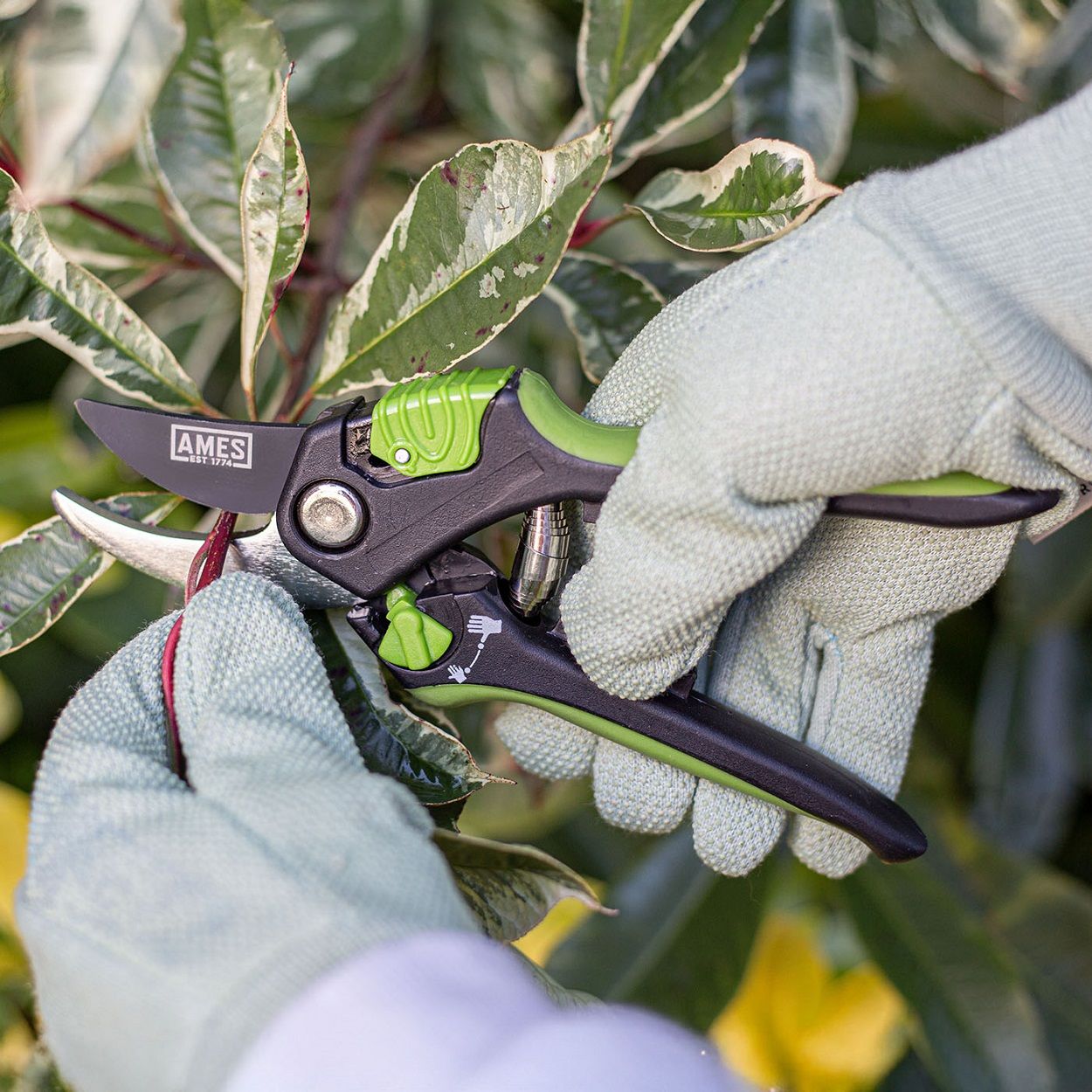 AMES Multi-Function Bypass Pruner